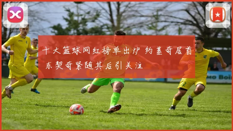 十大篮球网红榜单出炉 约基奇居首 东契奇紧随其后引关注