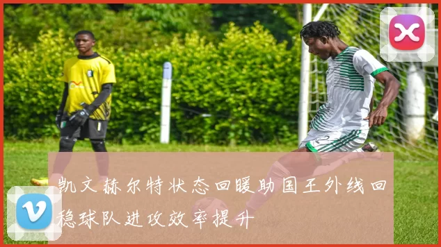 凯文赫尔特状态回暖助国王外线回稳球队进攻效率提升