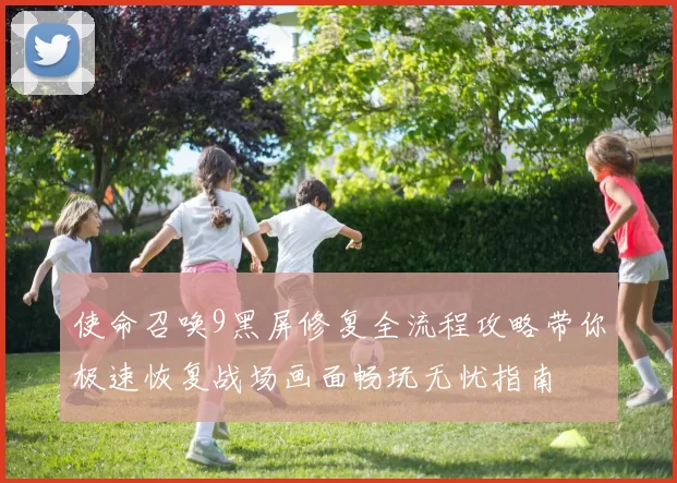 使命召唤9黑屏修复全流程攻略带你极速恢复战场画面畅玩无忧指南