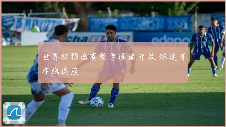 世界杯预选赛购票通道开放 球迷可在线选座
