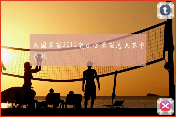 美国男篮2012奥运会男篮总决赛中夺冠